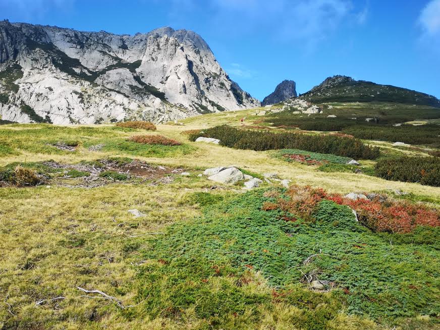 Le Monte Renosu (Françoise Geronimi)