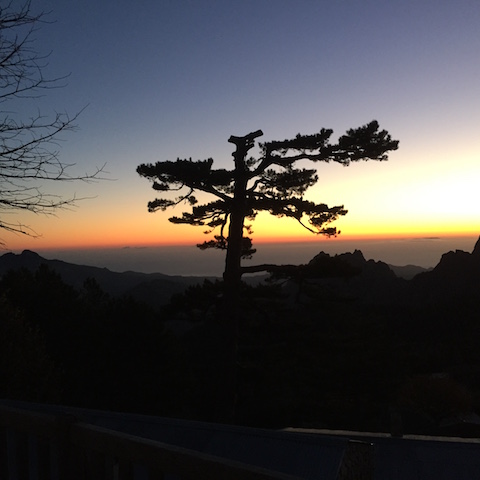 Photo Antoine Giovanangeli