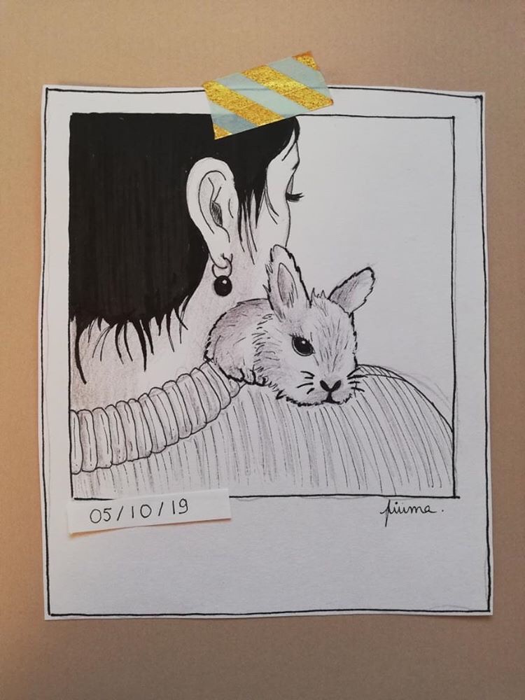 Inchjo'stobre, ghjornu cinque : Lapin