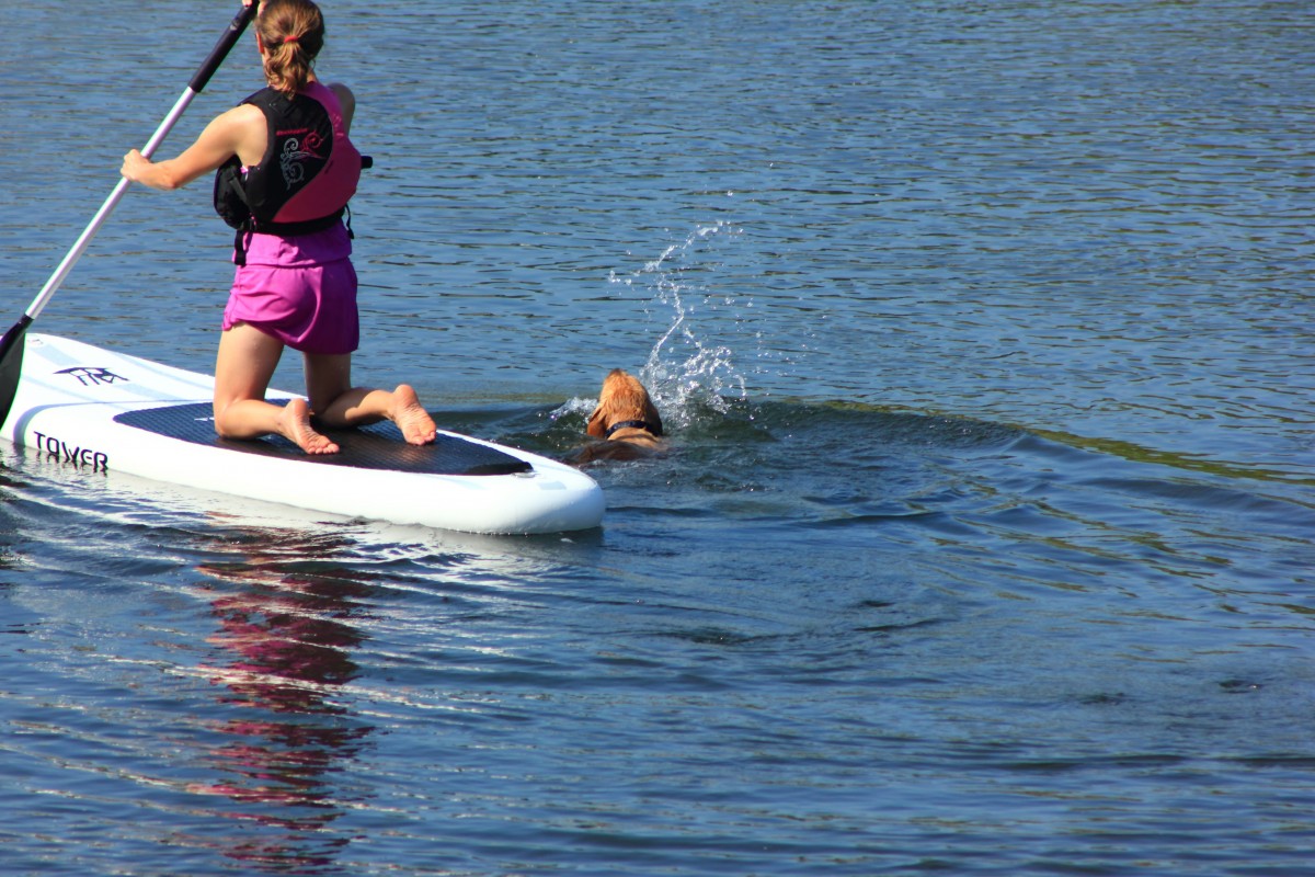 A Porticcio, on pagaye contre le cancer 