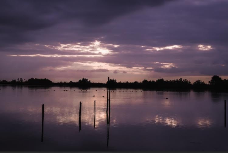 La photo du jour : lever de soleil sur l'étang du Palu