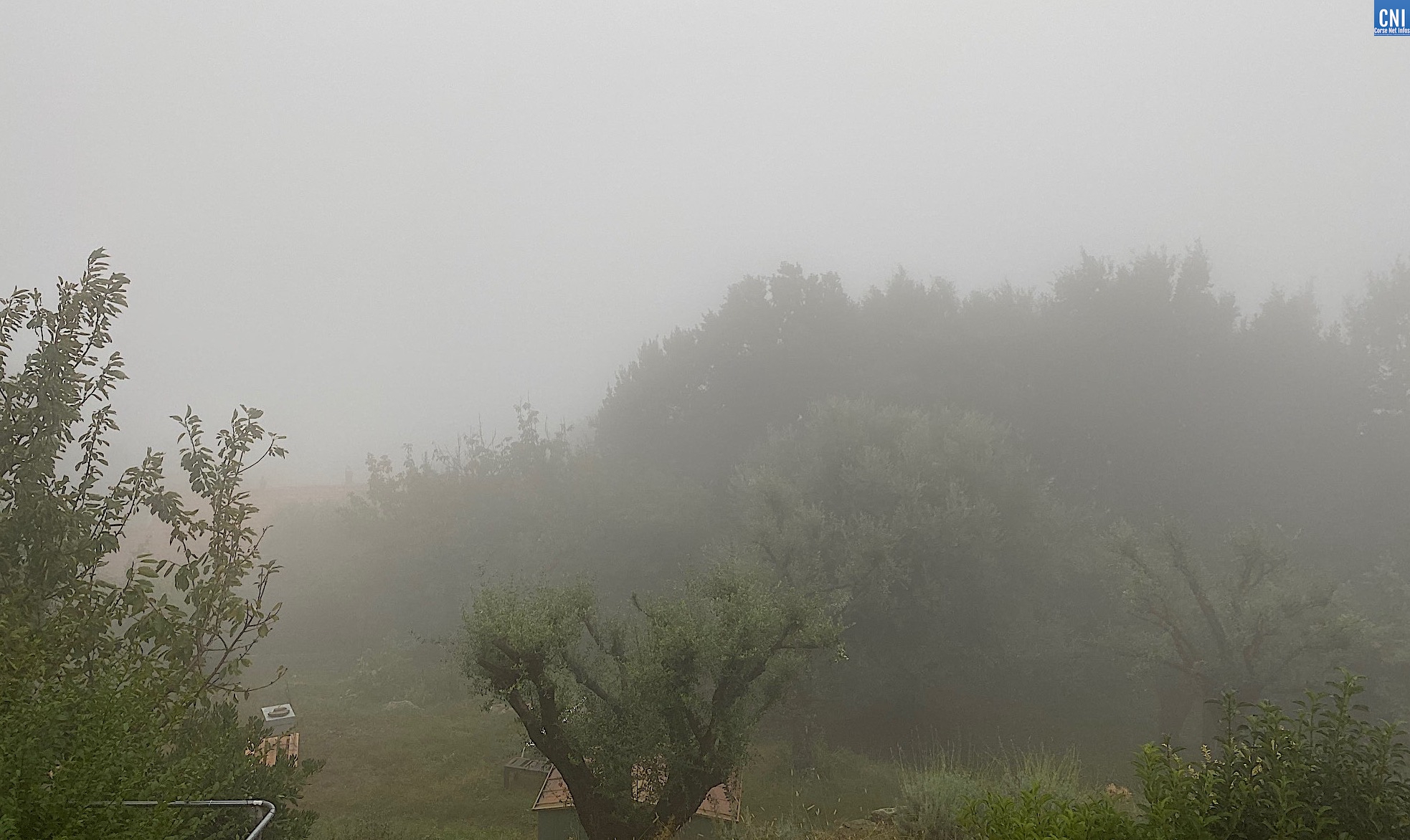 La région bastiaise dans la brume