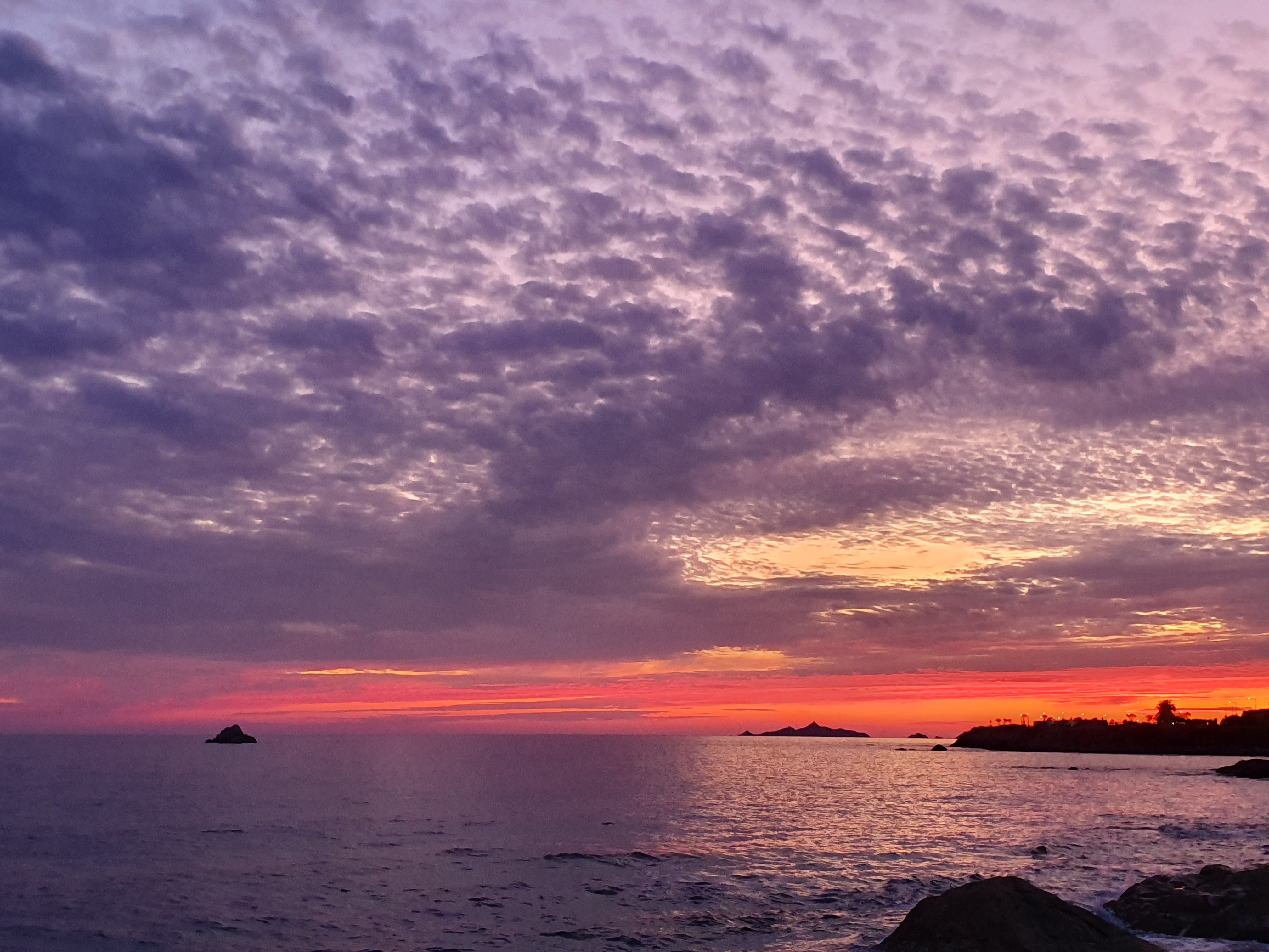 Photo : Delphine Jausserand