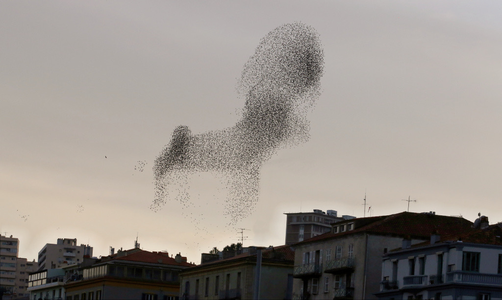 Photo Michel Luccioni