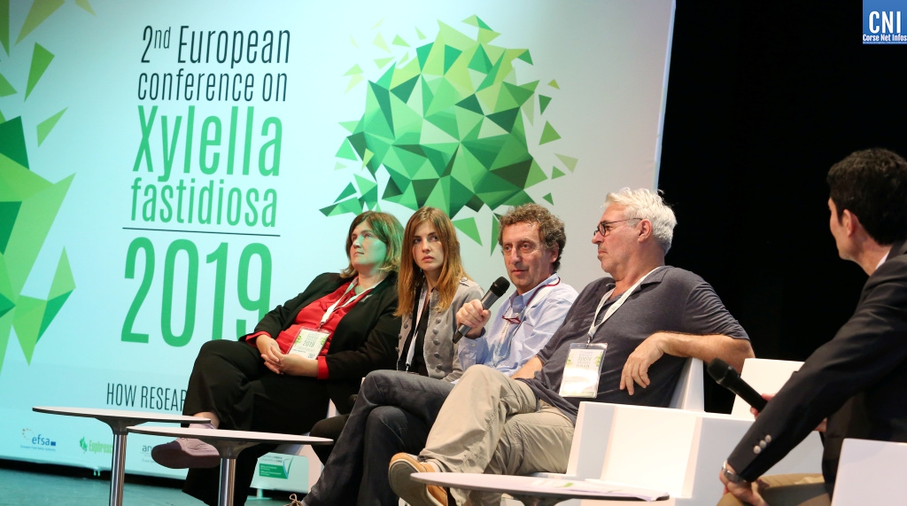 ​Xylella fastidiosa : la communauté scientifique internationale débat au Palais des Congrès d’Ajaccio
