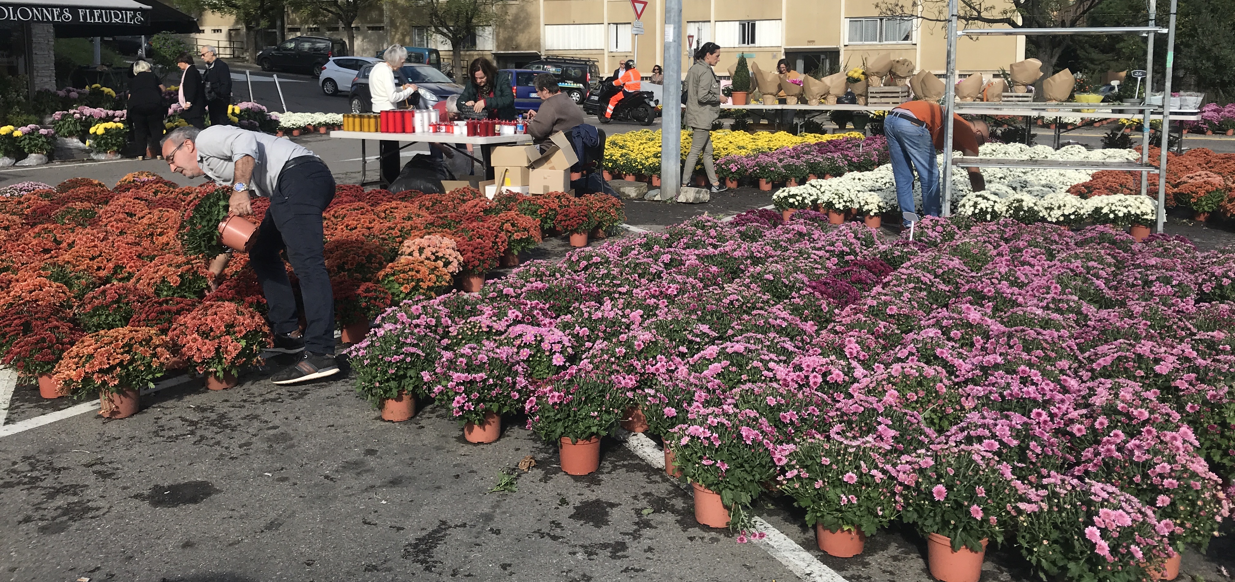 Le jour de la Toussaint, le chrysanthème est la fleur la plus vendue.