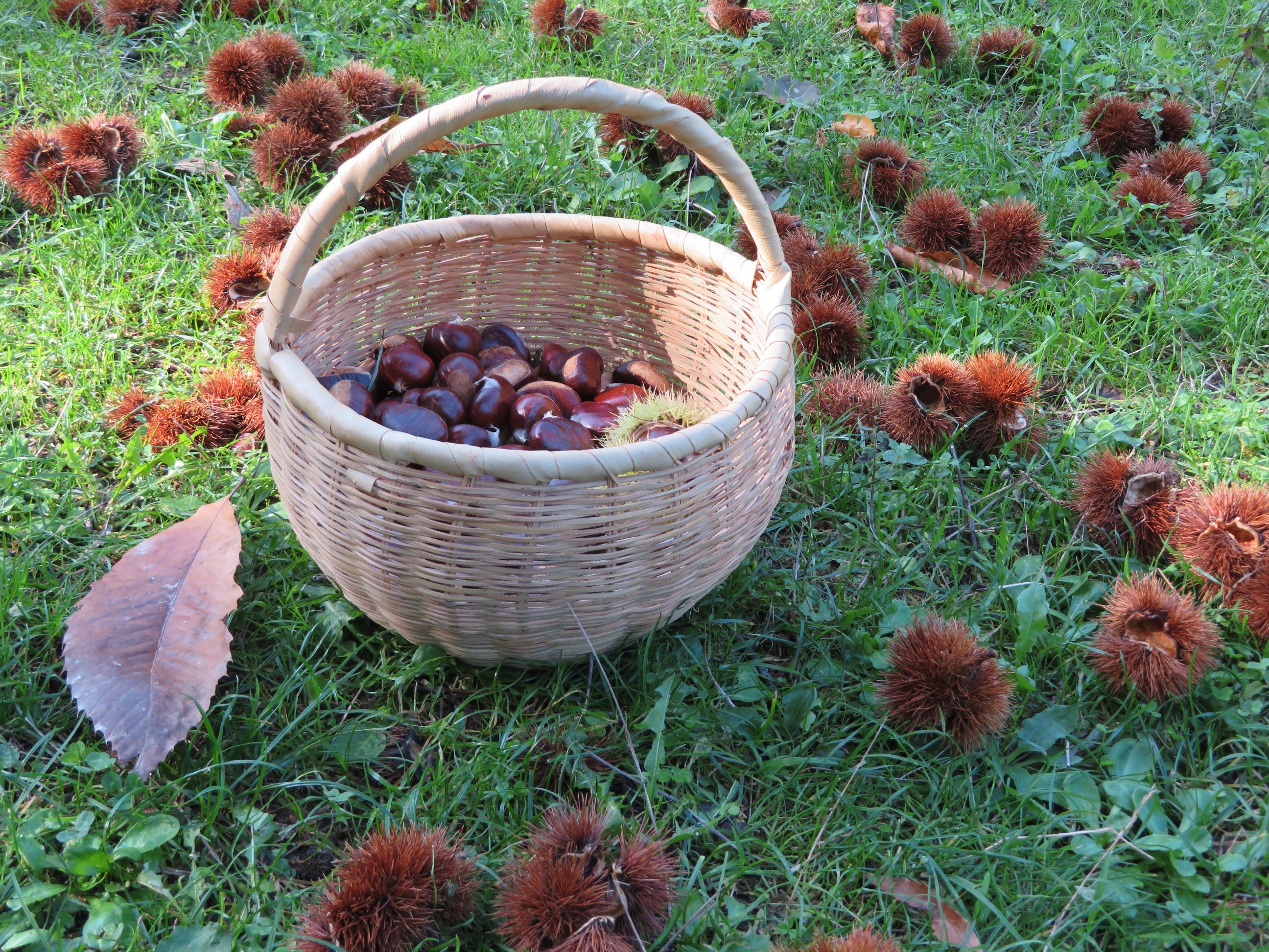 Photo Françoise Geronimi