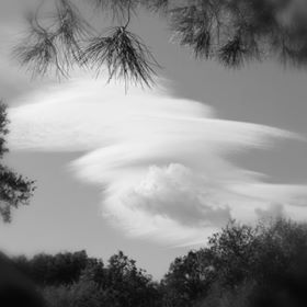 Photo Frederic Falchier