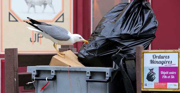Photo Michel Luccioni.