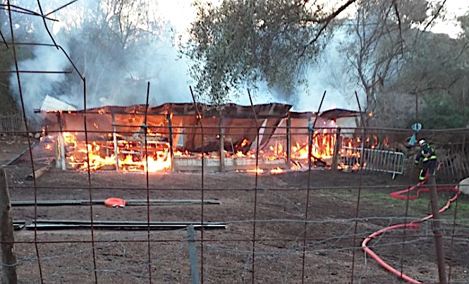 Photo Twitter @2aFdsea