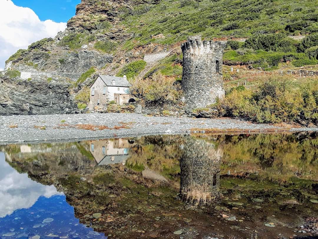 La photo du jour : la tour et la marine de Negru 