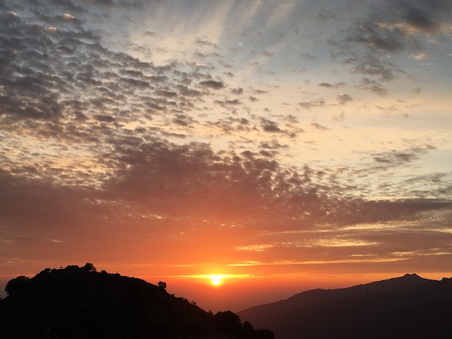 Photo Véronique Vilette