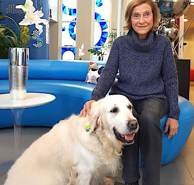 Apprendre aux enfants comment interagir avec les chiens : une nécessité vitale pour éviter les morsures 