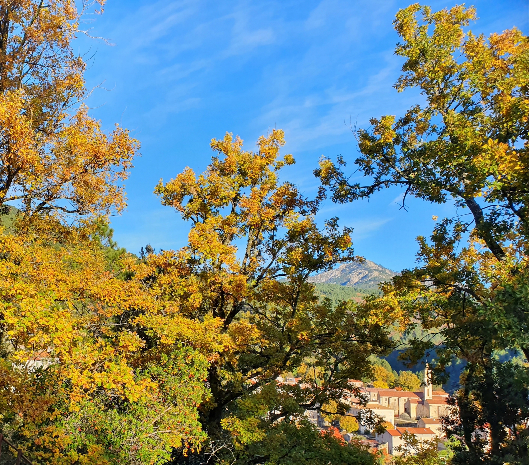 Photo : Hélène Mucchielli