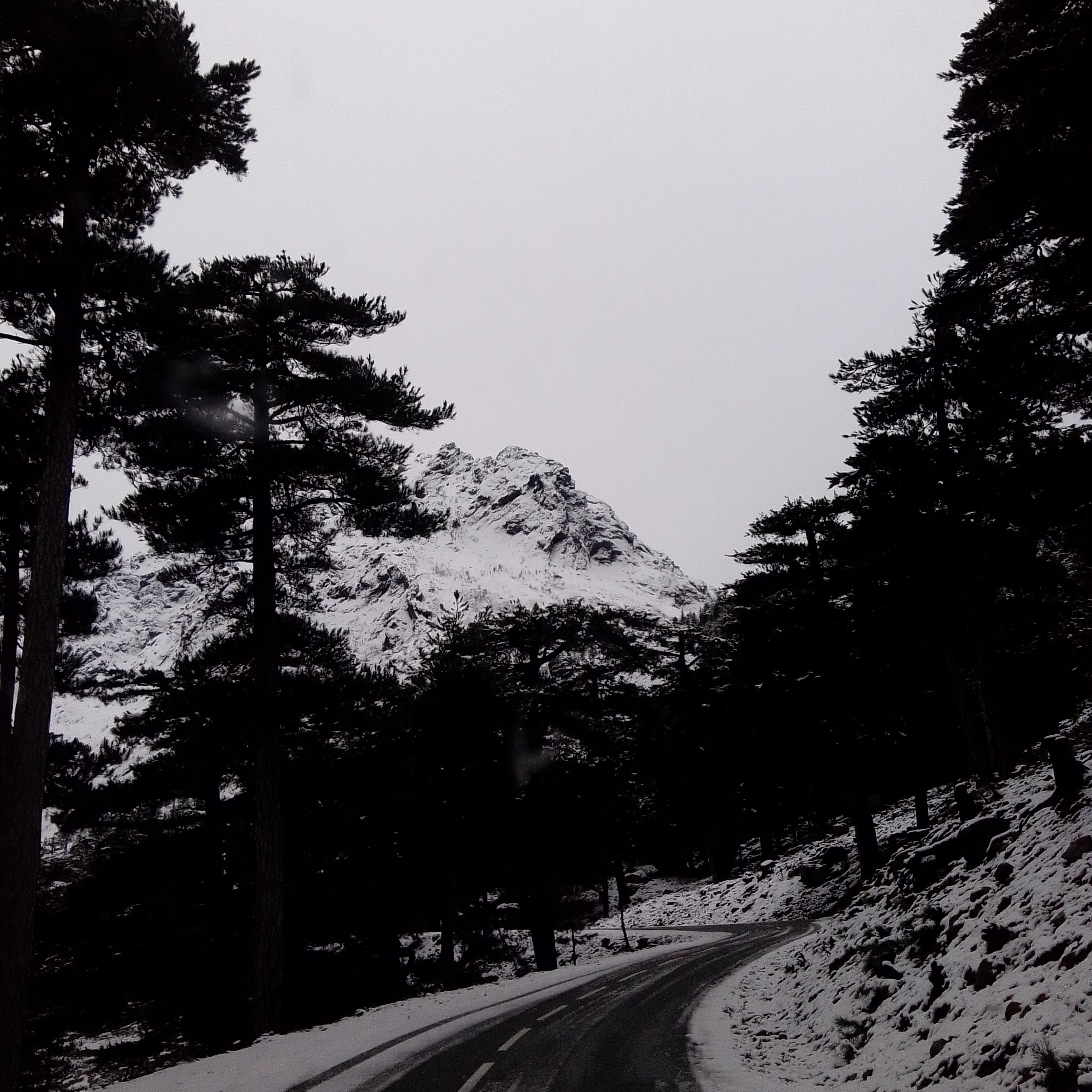 Photo :  Mélanie Demurtas