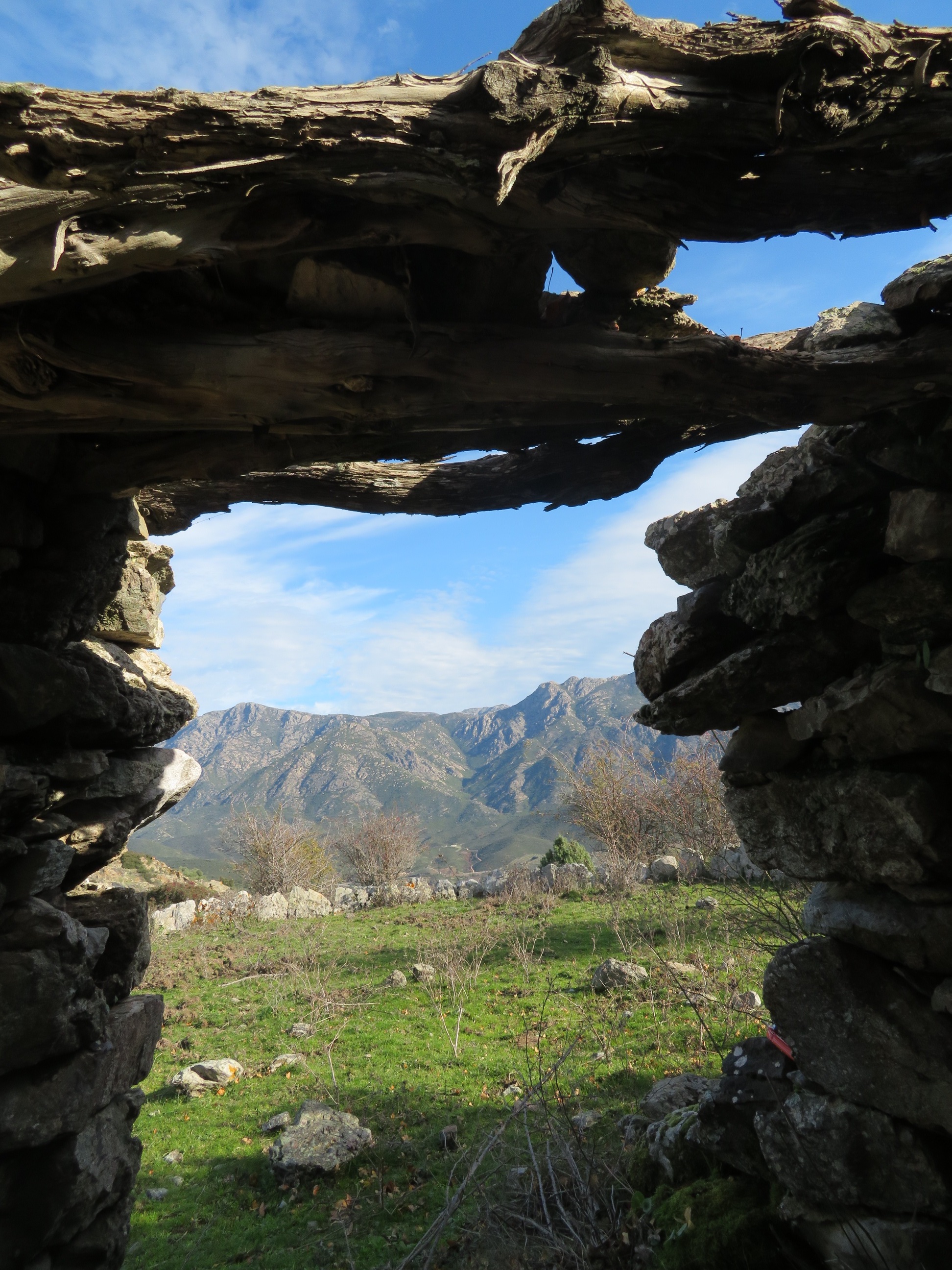 La photo du jour : agrottu davanti un'aghja