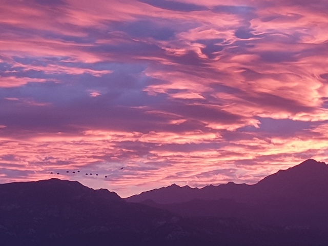 Photo Amandine MORATI