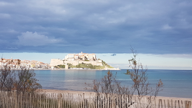 Photo Patrick Napolitano