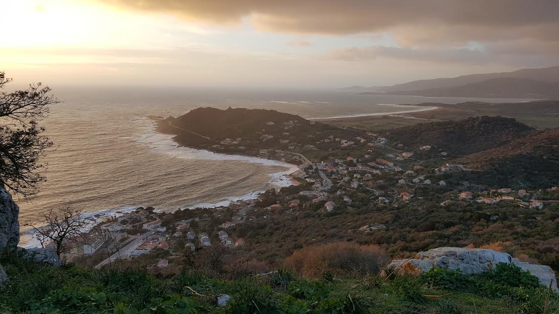 La photo du jour : Tiuccia la belle