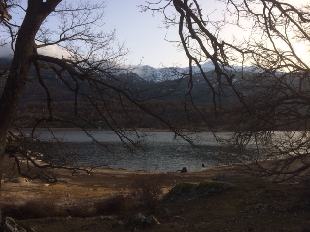 Photo Denise Luciani