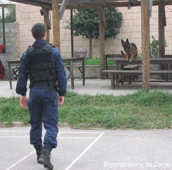 Ile-Rousse. Les collégiens visitent la brigade de gendarmerie