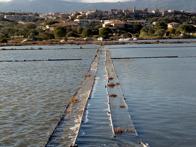 Partez à la découverte des zones humides corses à l’occasion des JMZH 2020 !