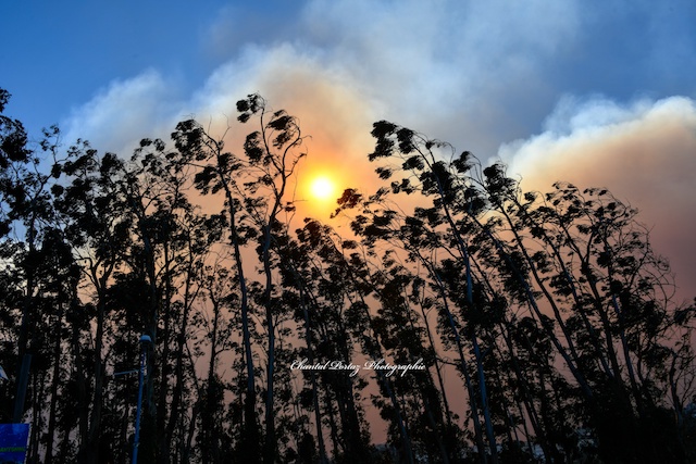 Photos Chantal Portaz Biancarelli