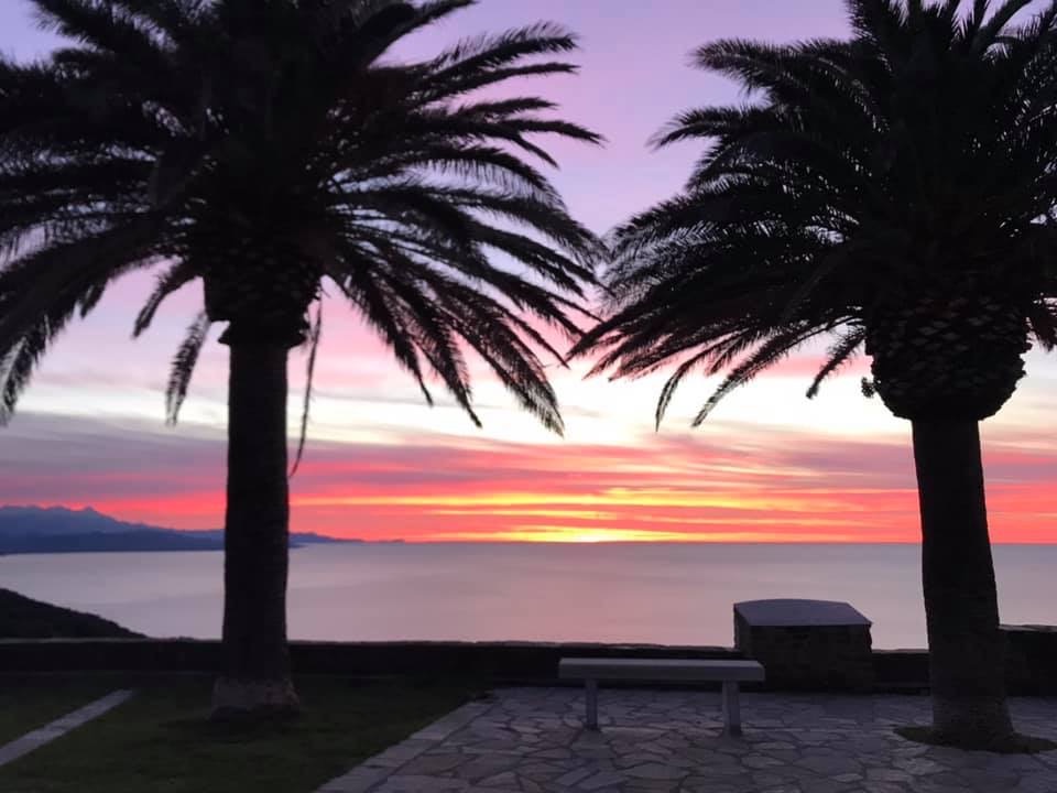 photo gassmann graziella