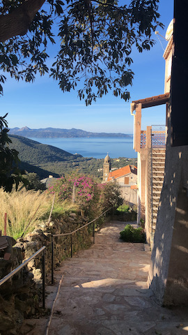 Photo Nicolas Orsini