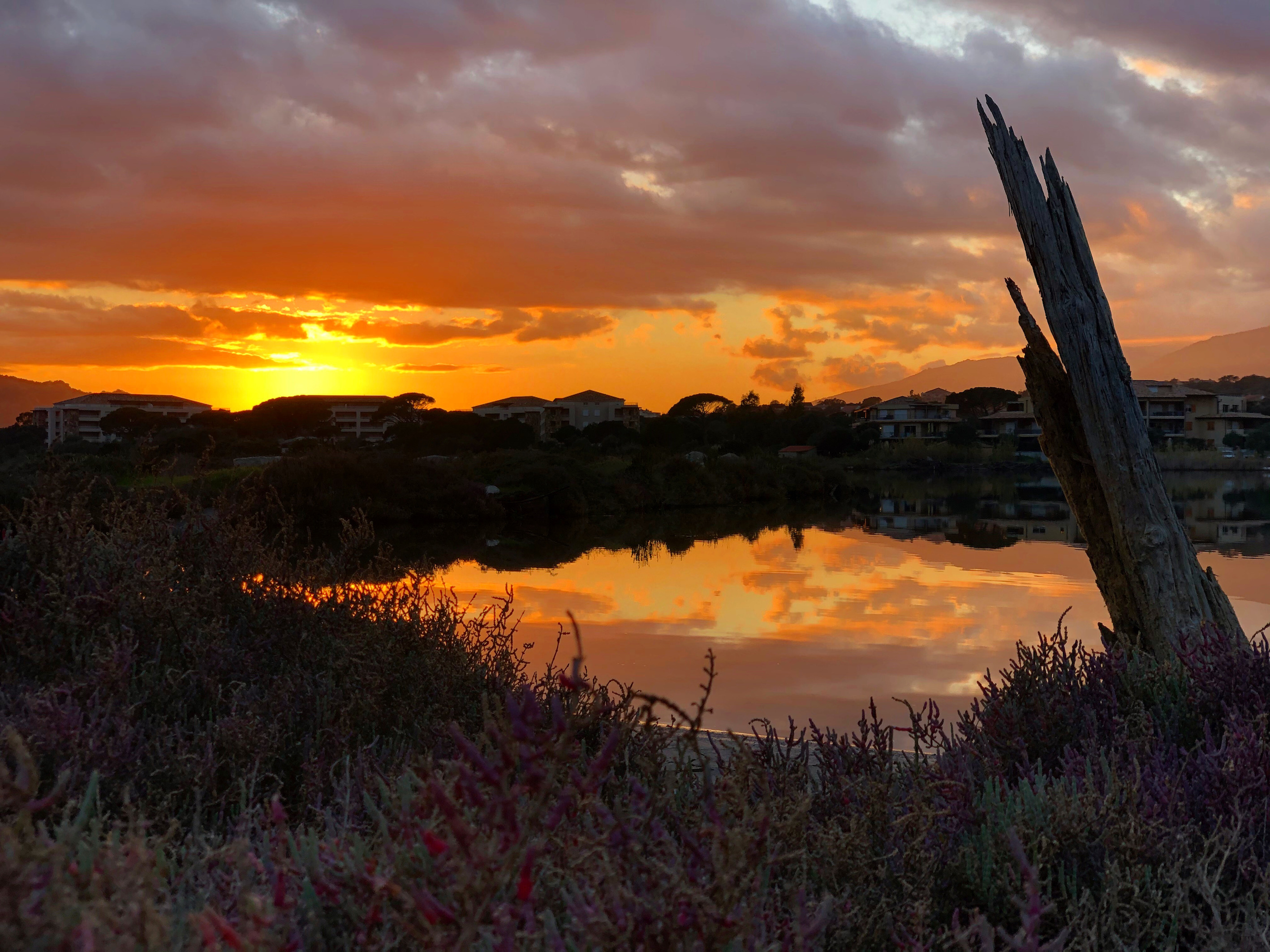 Photo : Véronique Filippi