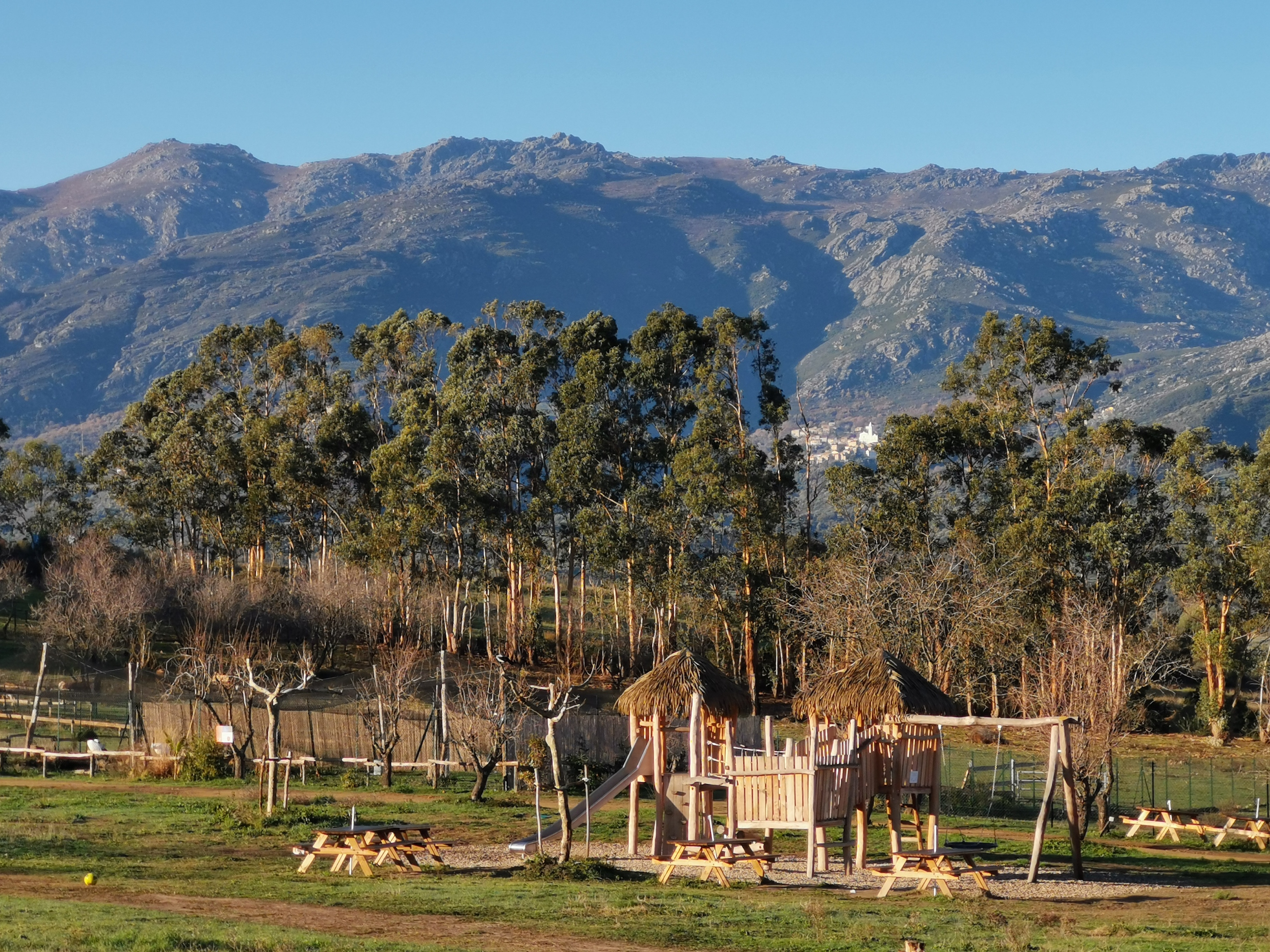 De nouveaux arrivants au Corsica Zoo à Olmeta-di-Tuda 