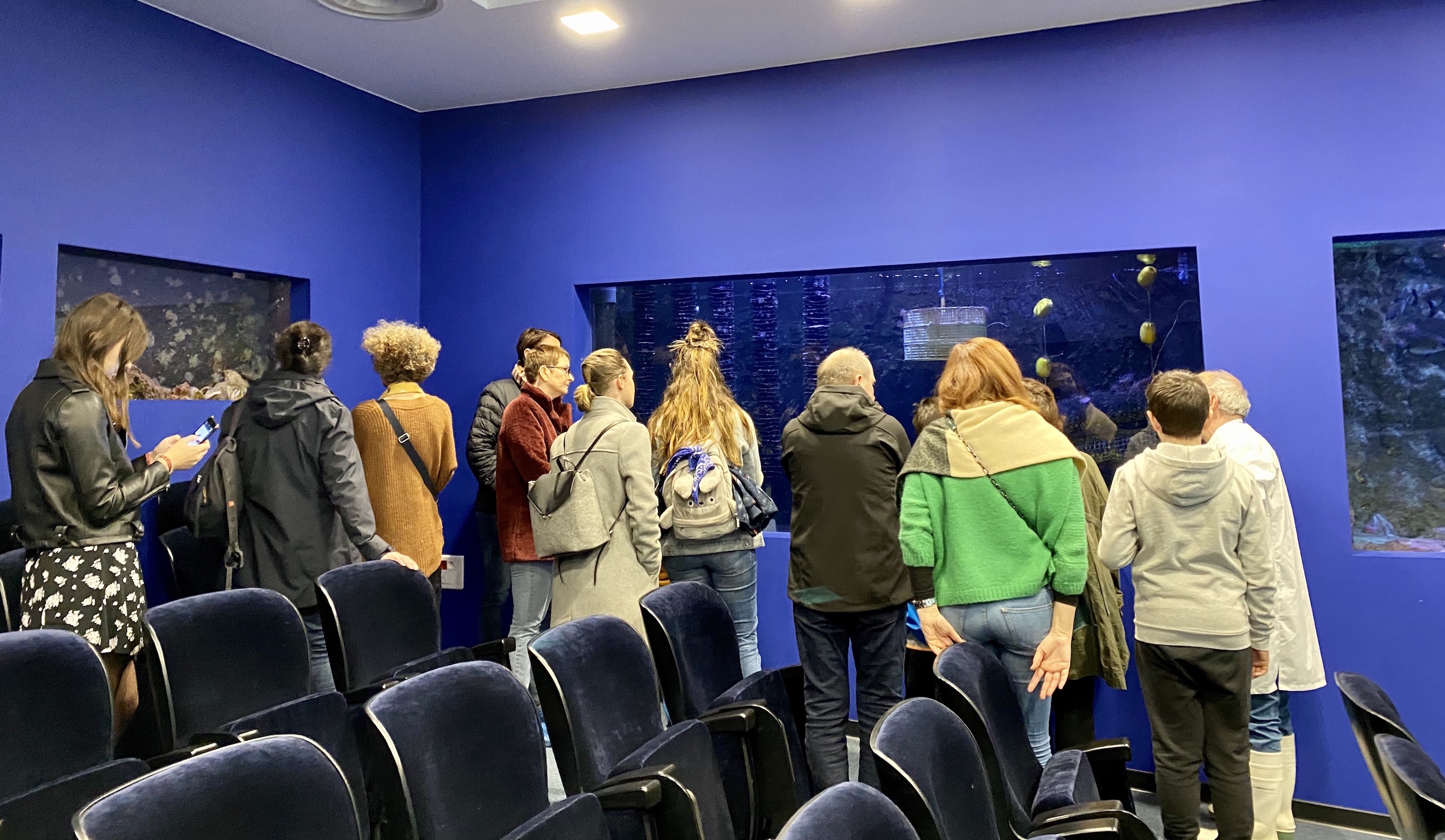 Journées portes ouvertes de Stella Mare