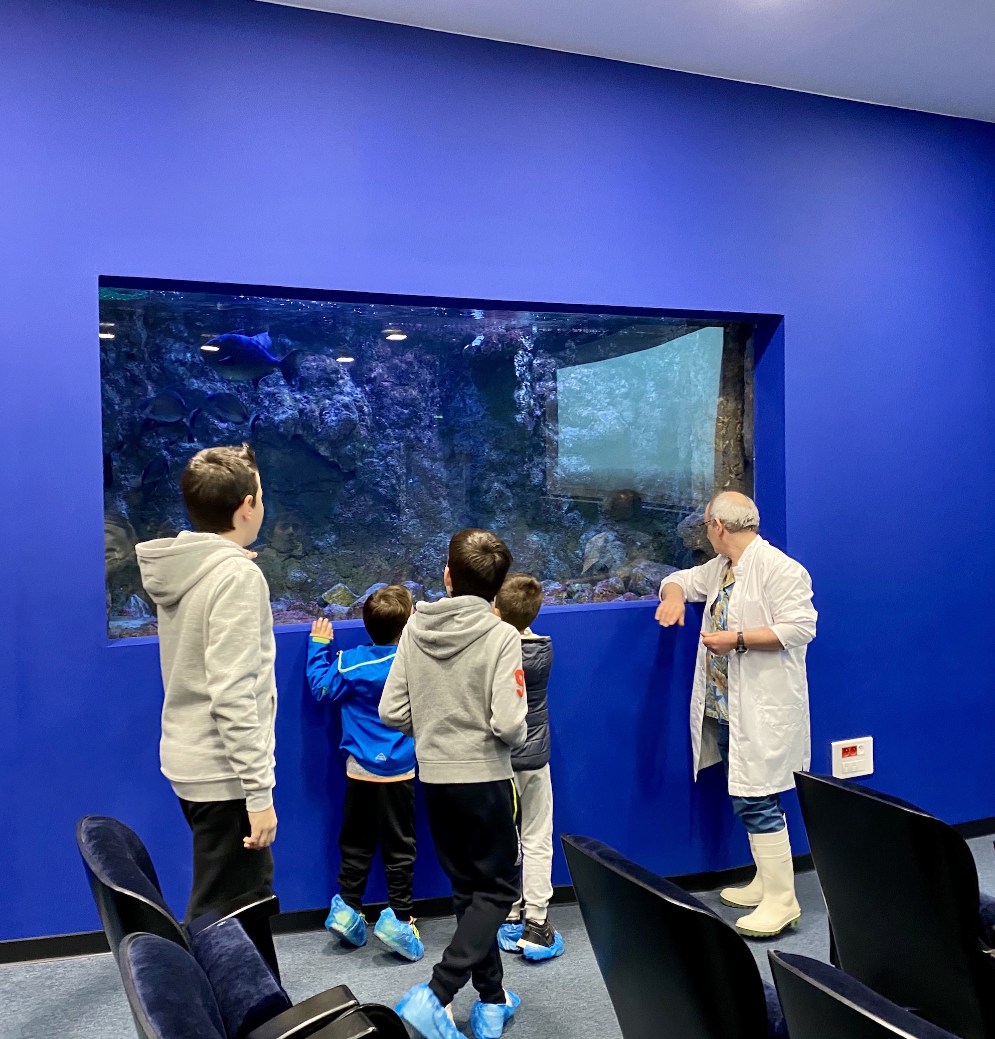 Journée portes ouvertes à Stella Mare : visite d'un "hôtel 5 étoiles pour poissons"