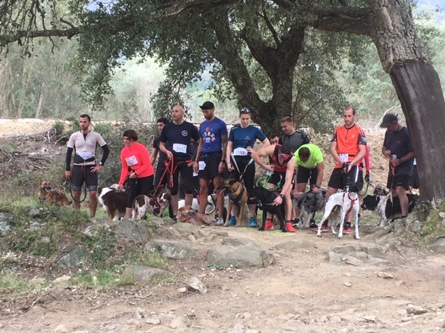 Corte : un dimanche sportif et canin pour l'édition 2020 de "Cani-marche & Cani-course"