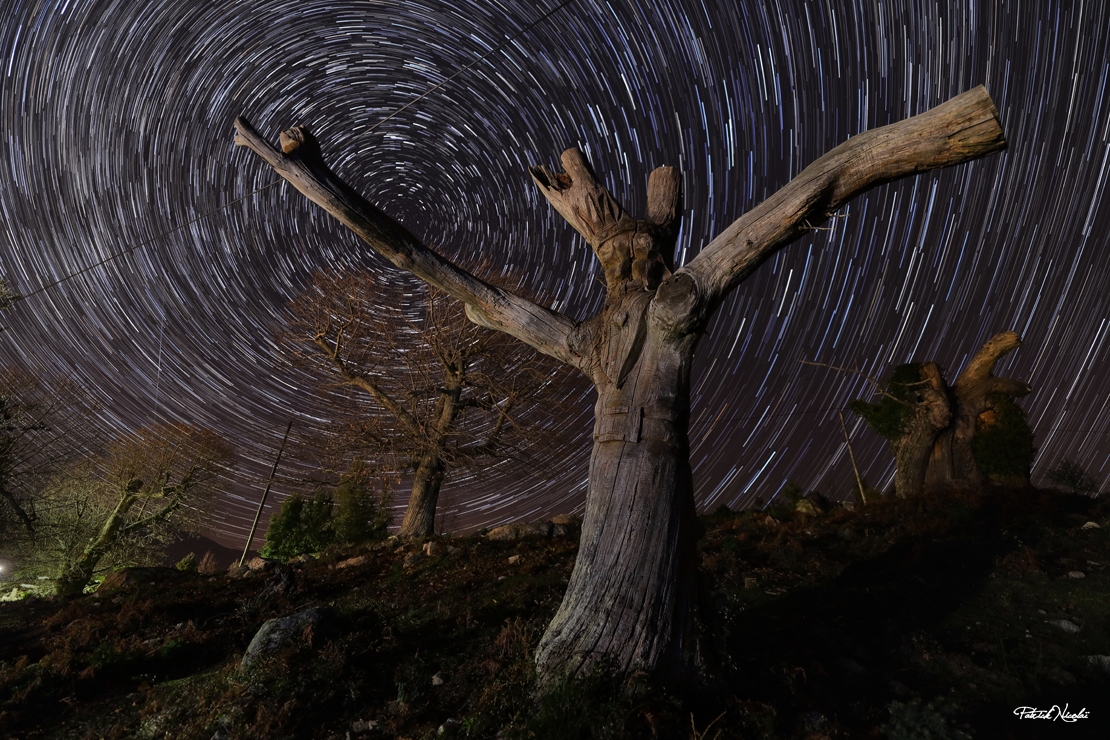 Photo : Patrick Nicolaï