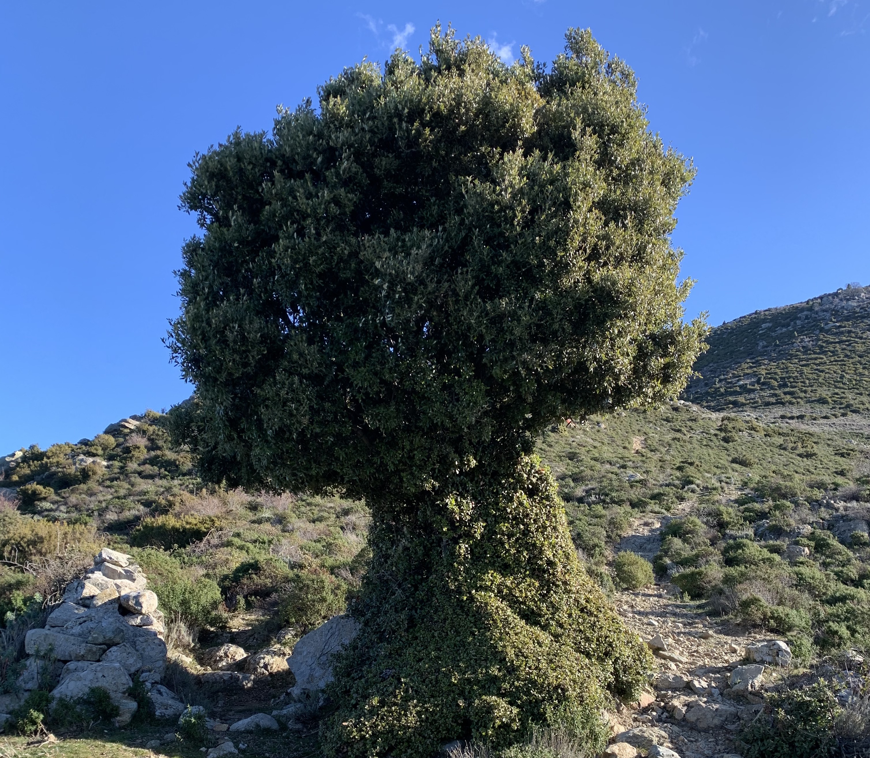 Photo : Pierre Christophe Leoni