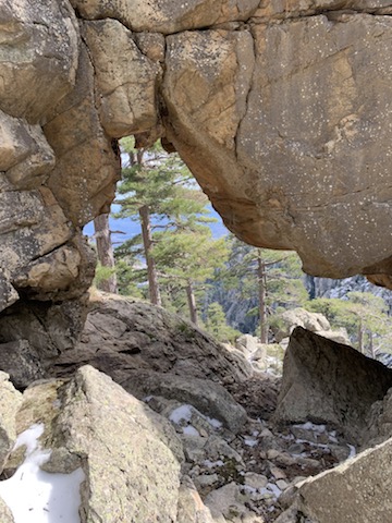 La photo du jour : La forêt de Forca