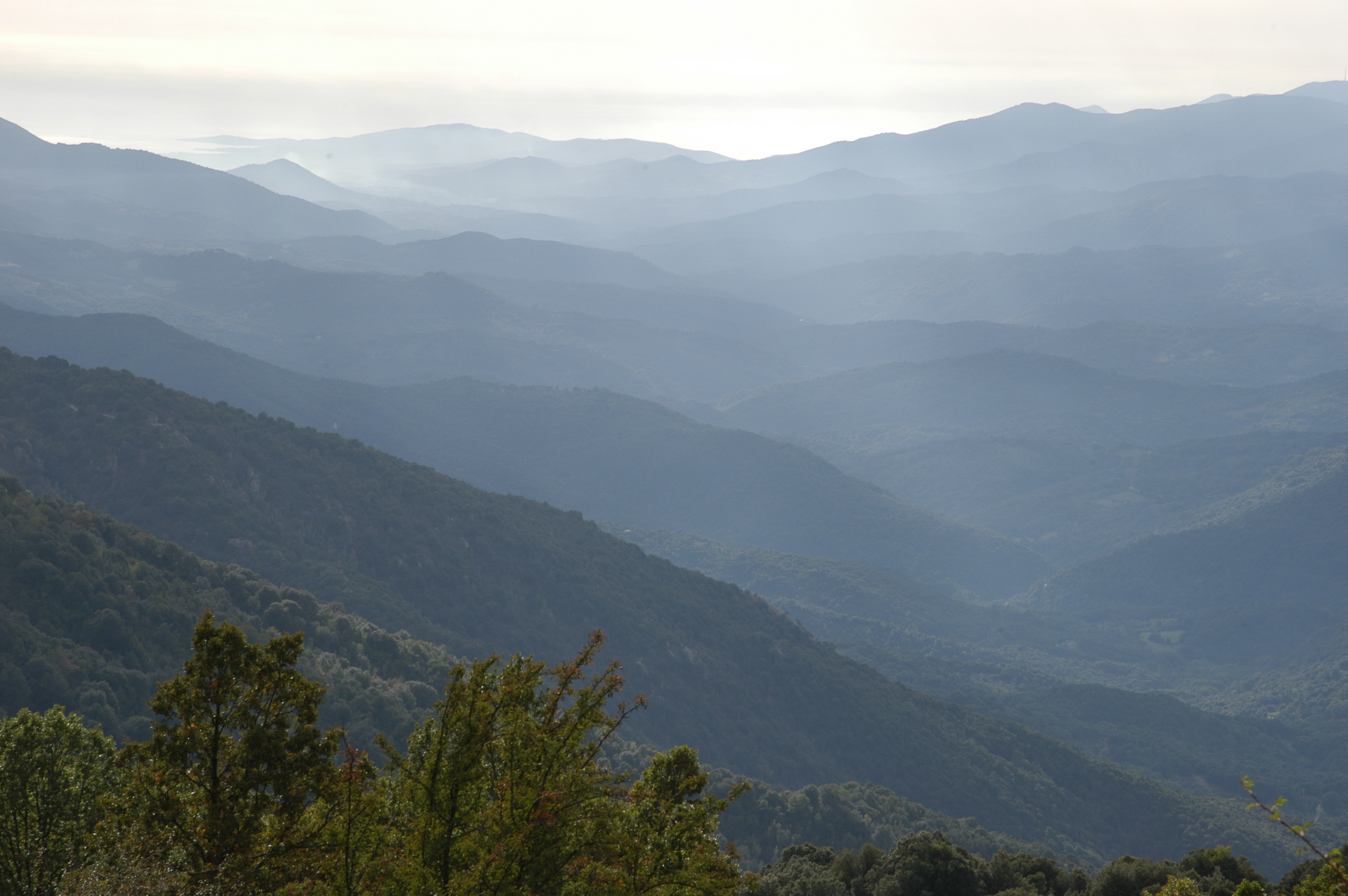La vallée du Taravo avec Porto polo an fond Plateau du coscione Zicavo Thierry senlis ( famille Leccia)