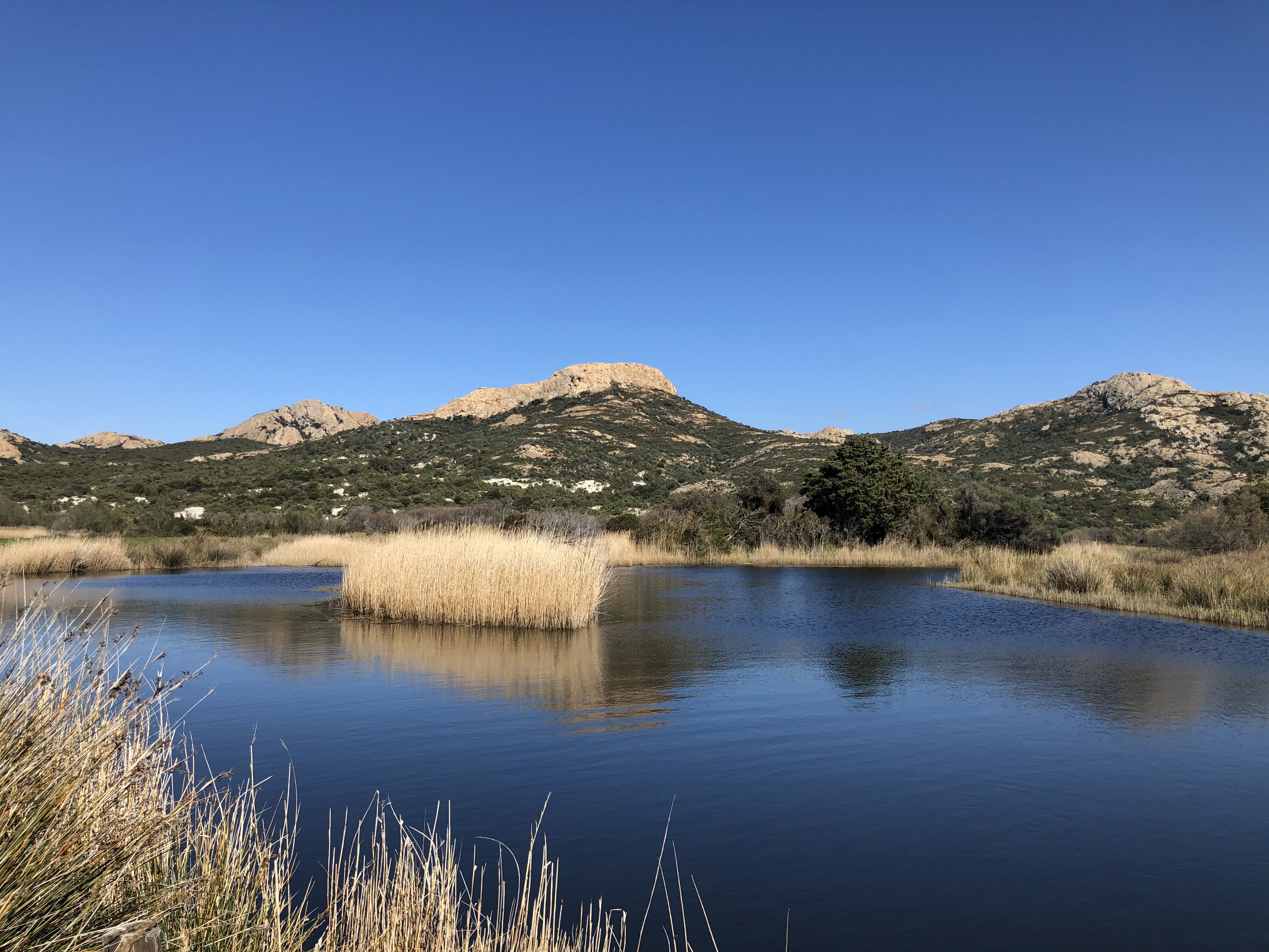 A foce di l'Ostriconi (François-Xavier Montecattini)