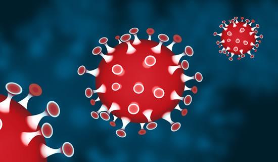 Coronavirus : attention aux arnaques !