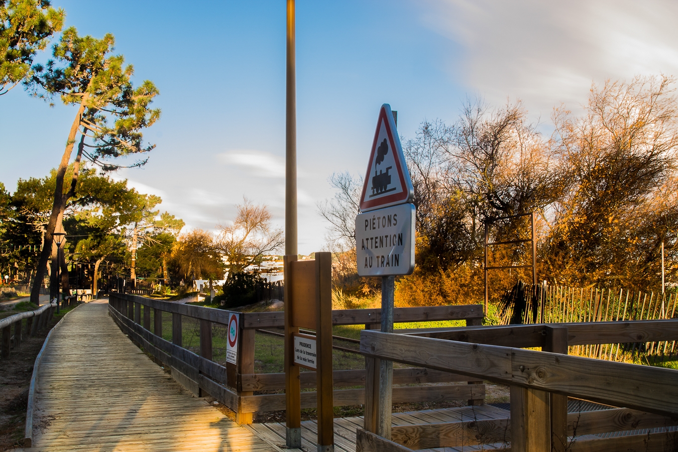 La promenade piétonne de la pinède de Calvi désormais interdite aux usagers