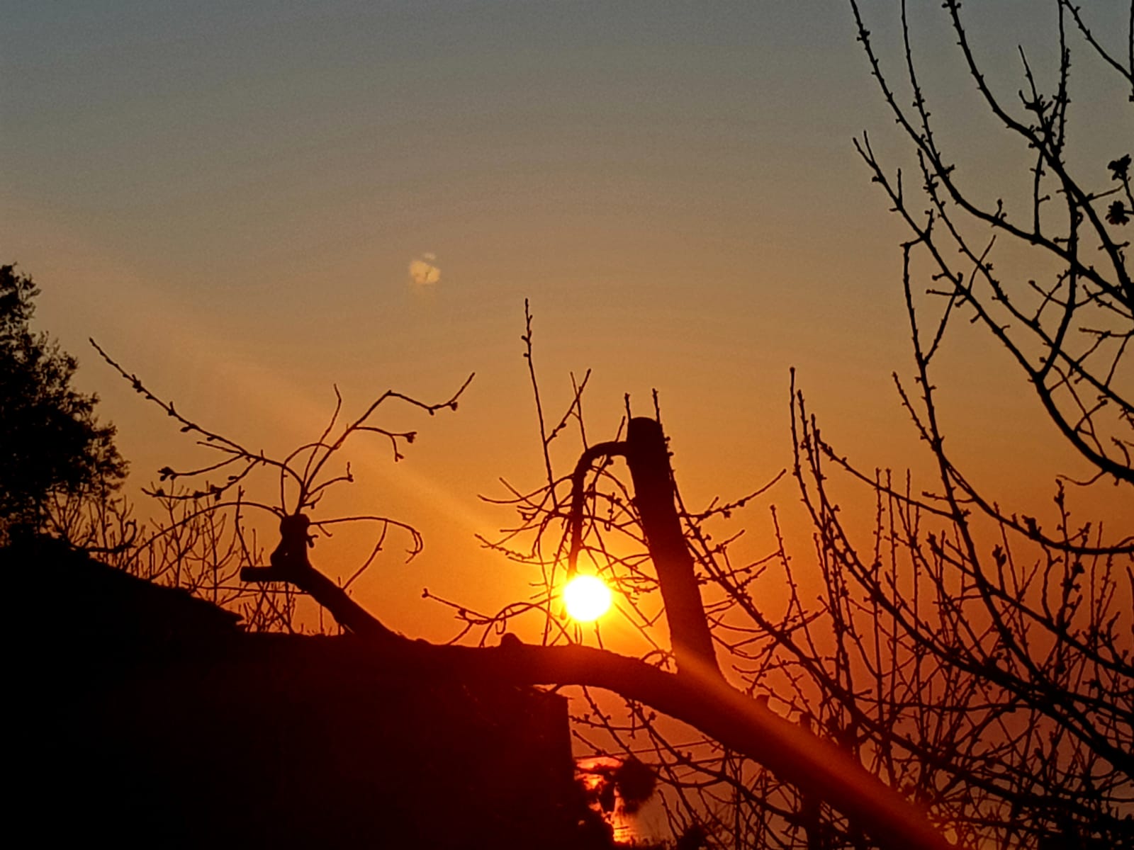 La photo du jour : U sole cum’un lampione ind’a macchja sottu a u Monte Stellu