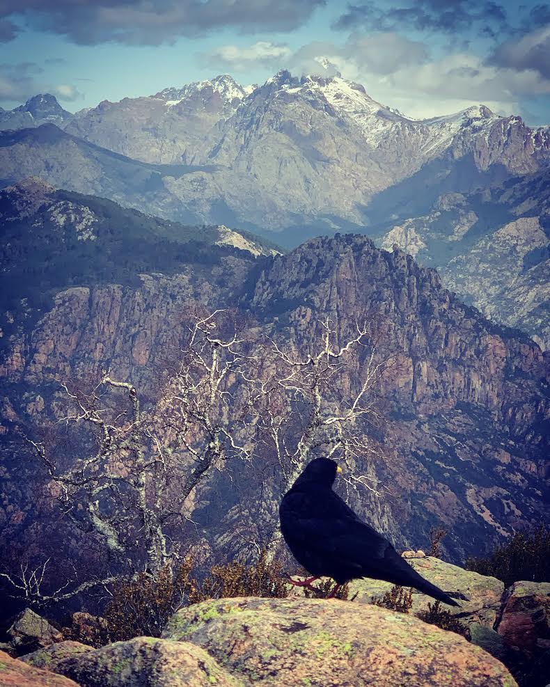 Punta di l'Ortu (Leria Tramoni)