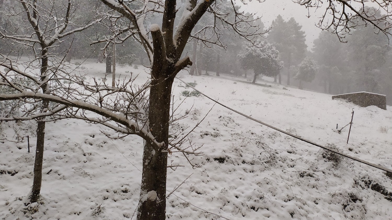 EN IMAGES - Météo : la neige au rendez-vous en Corse