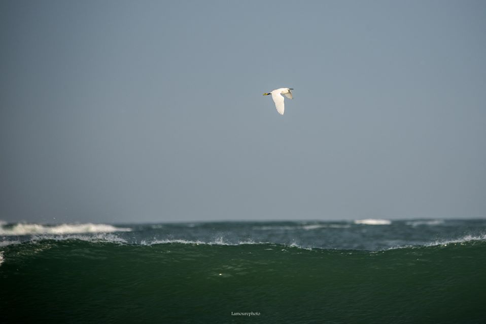 Journal du confinement, jour 16 "Une épreuve ou une expérience ?"