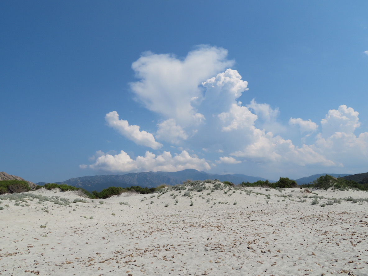 (Françoise Geronimi)