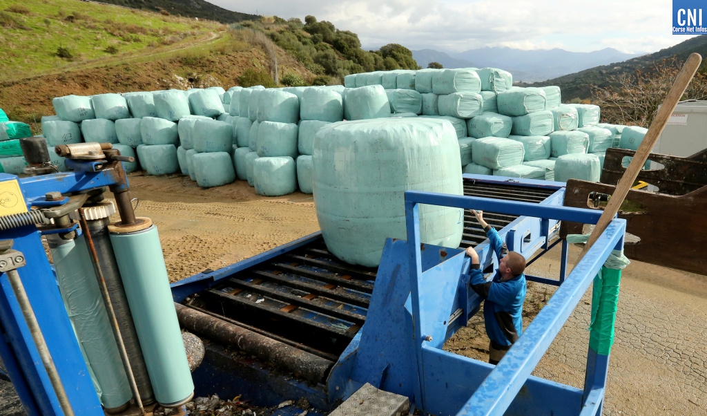 Photo archive Michel Luccioni