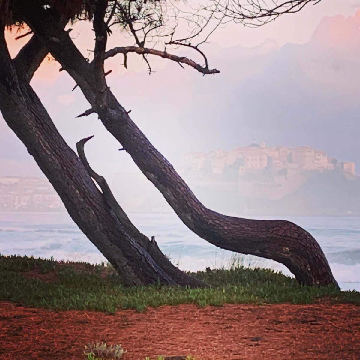 La photo du jour : Calvi dans la brume matinale