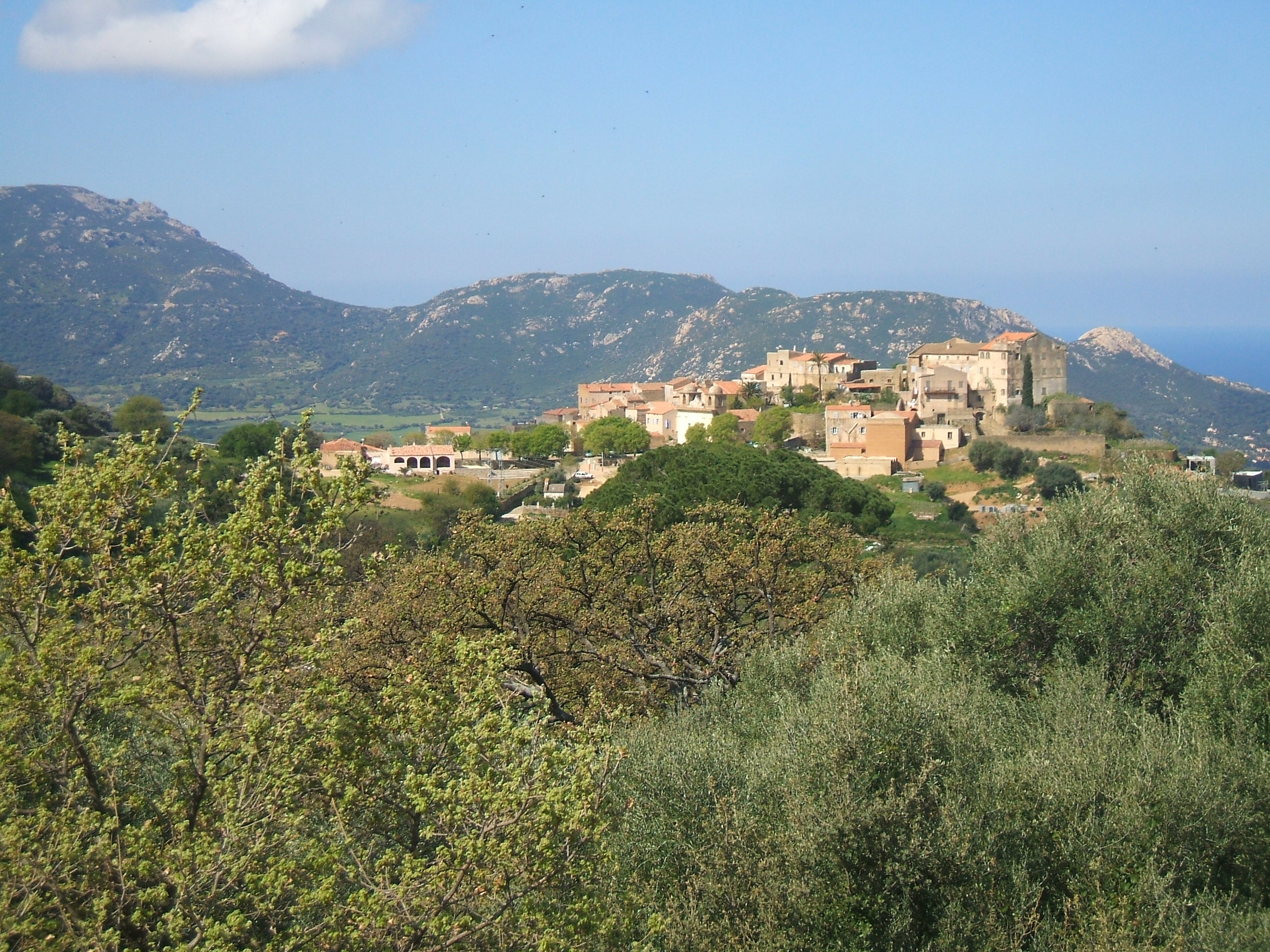 Coronavirus - Voce et l'auditorium de Pigna resteront silencieux jusqu'en Juillet
