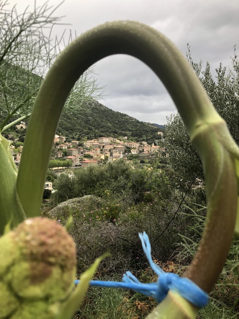 La photo du jour : Urtaca vu du peddi mughju